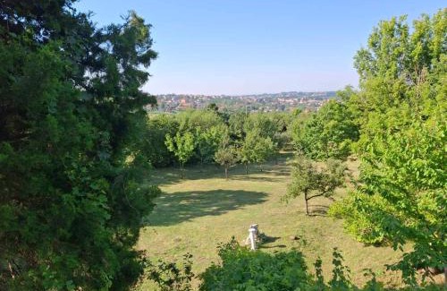 Belgrade Villa | Villa Kameleon