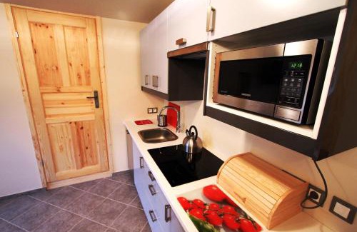 Wisla Apartamento | Villa Karola Stryi
