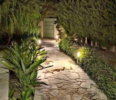 Ialyssos Villa | Villa Katerina