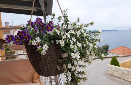 Businci Apartamento | Villa Kovačević