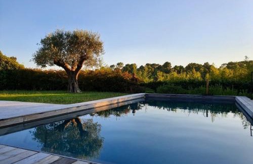 Roquefort-les-Pins Apartamento | Villa l’Ensoleillée