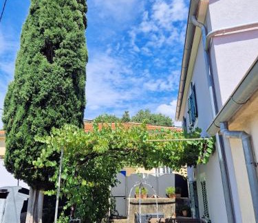 Cizici Villa | Villa Lavanda