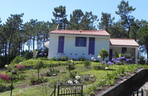 Viana do Castelo Villa | Chafe: VIANA DO CASTELO -Villa a Chafe-Amorosa cerca del mar
