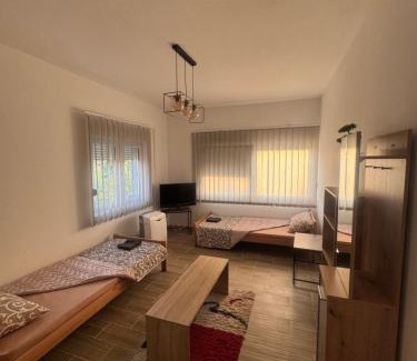 Novi Becej Casa | Villa Leon