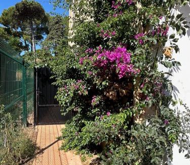 Tamaris Apartamento | Villa les Lys 2