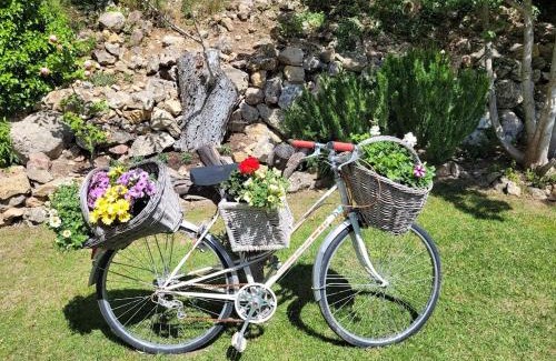 Besse-sur-Issole Casa | Villa Les palmiers en Provence