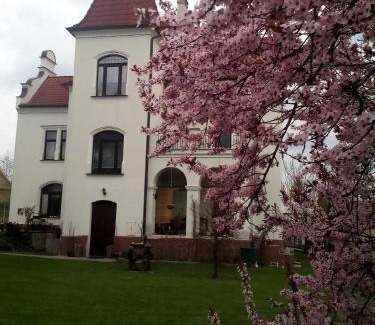 Bechyne Casa | Villa Liduška s kavárnou