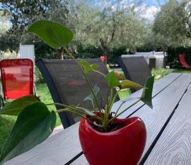 San Benedetto di Lugana Apartamento | Villa Lori Apartments Garden and Beach
