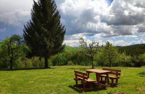 Poljanak Casa | Villa Lucija
