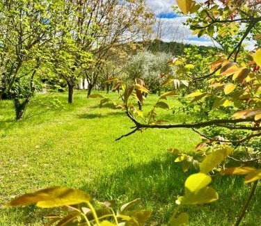 Vallon-Pont-d'Arc Casa | Villa Madeleine