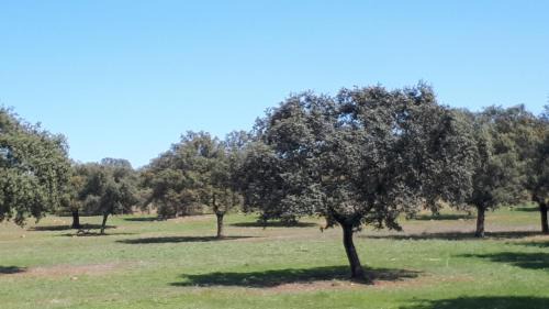 Vilches Casa | VILLA MARIA
