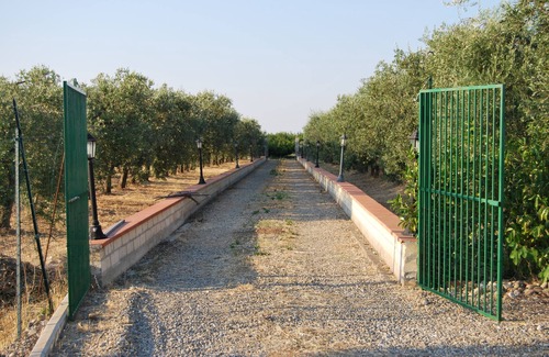Montalbano Jonico Casa | Villa Marilena