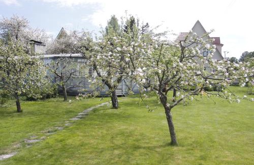 Parnu Hotel | Villa Marleen