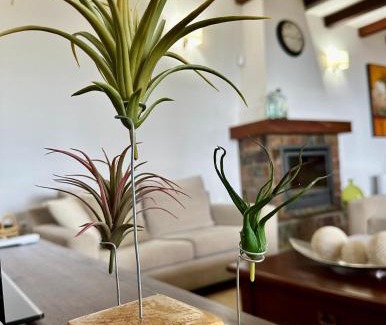 Puntallana Apartamento | Villa Media Luna con vistas a La Palma by Alterhome