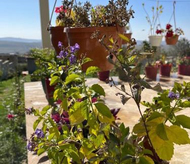 Samaxi Casa | VILLA MEYSARY