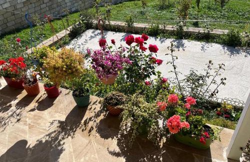 Samaxi Casa | VILLA MEYSARY