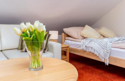 Wisla Cama Y Desayuno | Villa Miłosna