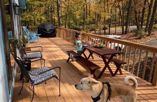 Lake Ariel Chalet De Esquí | Villa MiaNova A Modern Hideout in the Woods