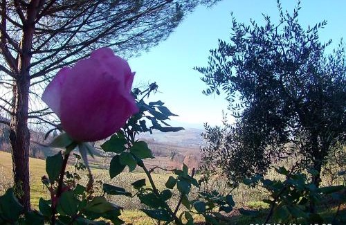 Spoleto Apartamento | Villa Milù