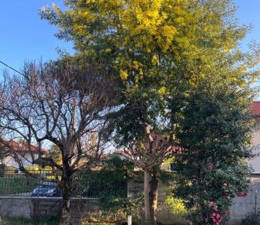 Cassano Magnago Casa | Villa Mimosa