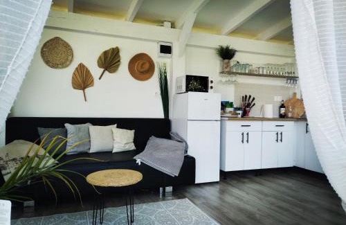 Lupeni Apartamento | Villa Monica