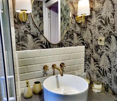 Lupeni Apartamento | Villa Monica