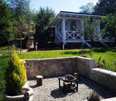 Lupeni Apartamento | Villa Monica