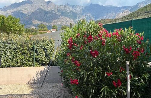 Calenzana Apartamento | villa Morgane