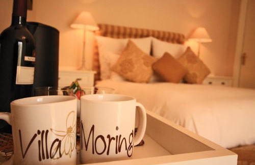 Windhoek Casa | Villa Moringa Guesthouse