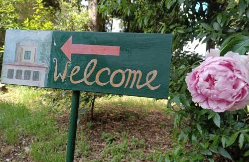 Romita Cama Y Desayuno | Villa Moris bed and breakfast