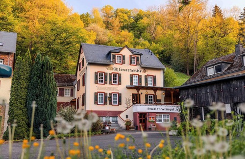 Sankt Goar Casa | Villa Muehlenschenke Game-Room Vineyard and more