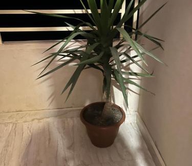 El Quseir Apartamento | Villa Muhammad