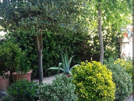 Francavilla al Mare Casa | Villa Muna