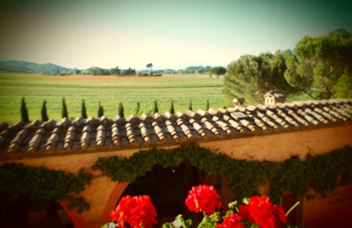 Monteroni d'Arbia Villa | Villa cerca de Siena con aire acondicionado y piscina climatizada.