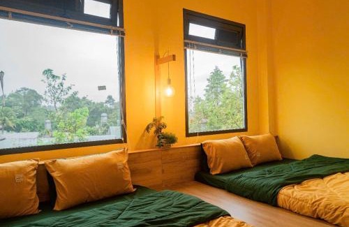Bao Loc Casa | Villa Nhà có hai cây Tùng