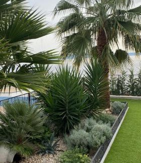 Businci Apartamento | Villa Night Pearl