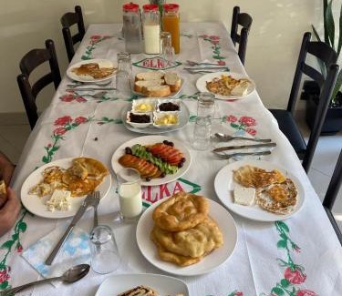 Berat Hotel | Villa Niku Berat