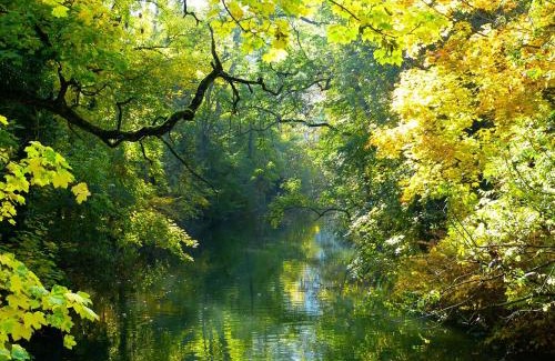 Orth an der Donau Casa | Villa Nina