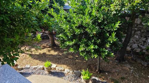 Novi Vinodolski Apartamento | Villa Nina