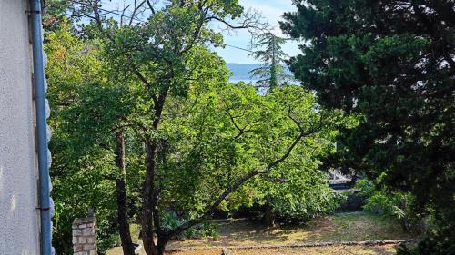 Novi Vinodolski Apartamento | Villa Nina