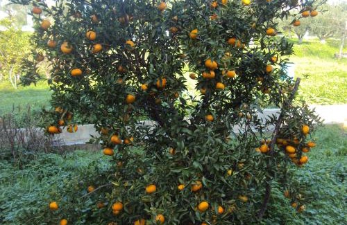 Pylos-Nestoras Apartamento | Villa Nostos