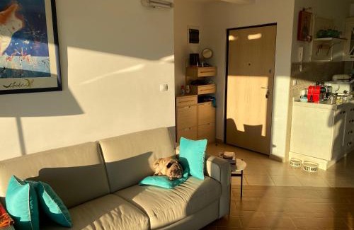 Lucice Apartamento | Villa Nova Premium Apartment No 7