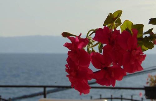 Ohrid Villa | Villa Novak