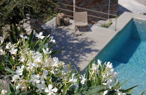 Kea Villa | Villa Orso Blue I