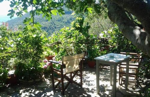 Alonnisos Old Town Apartamento | Villa Panayiota