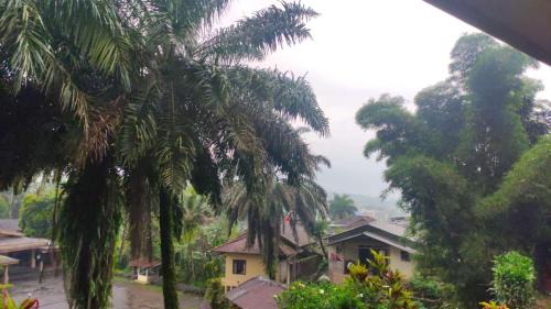 Ciloto Villa | Villa Pangrango