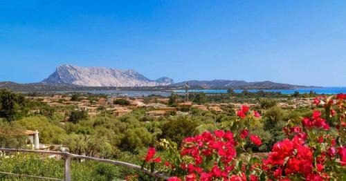 San Teodoro Villa | Villa Panorama