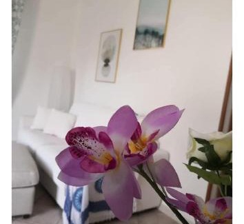 Altavilla Milicia Villa | Villa panoramica con Piscina