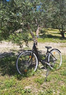 Vallejas Apartamento | Villa Paquita