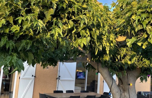 Elne Casa | Villa Paradis